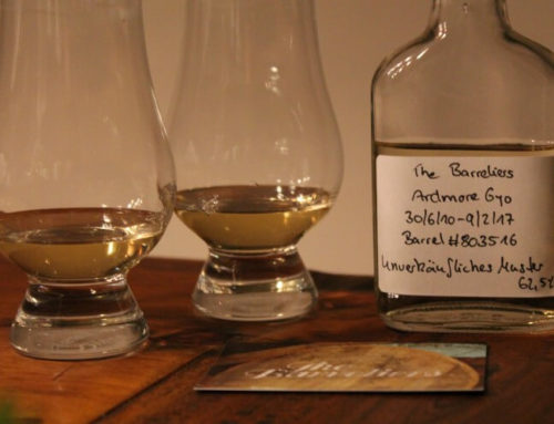 Im Test: Ardmore 6yo von the Barreliers